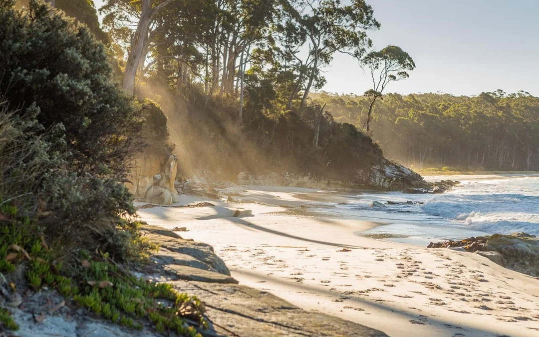 3 Day Tasmanian Highlights Bundle 2 – Hobart, Wineglass Bay and Bruny Island Image 10