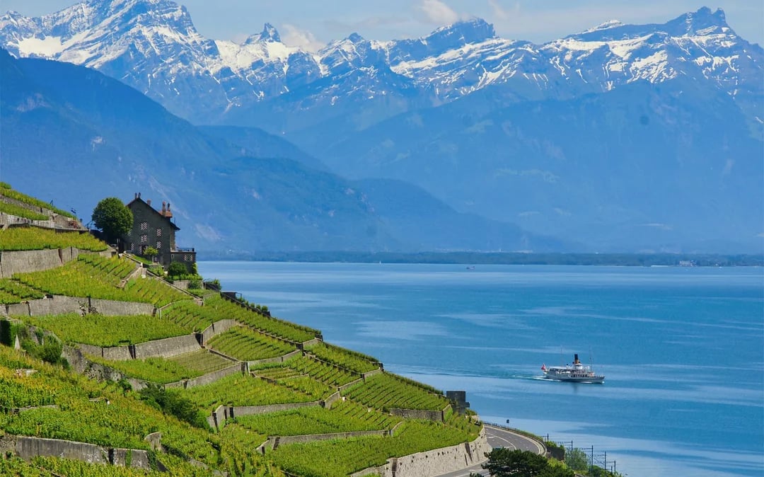 3-Hour Cruise of Riviera Region: Lausanne – Lavaux – Chillon Castle Image 2