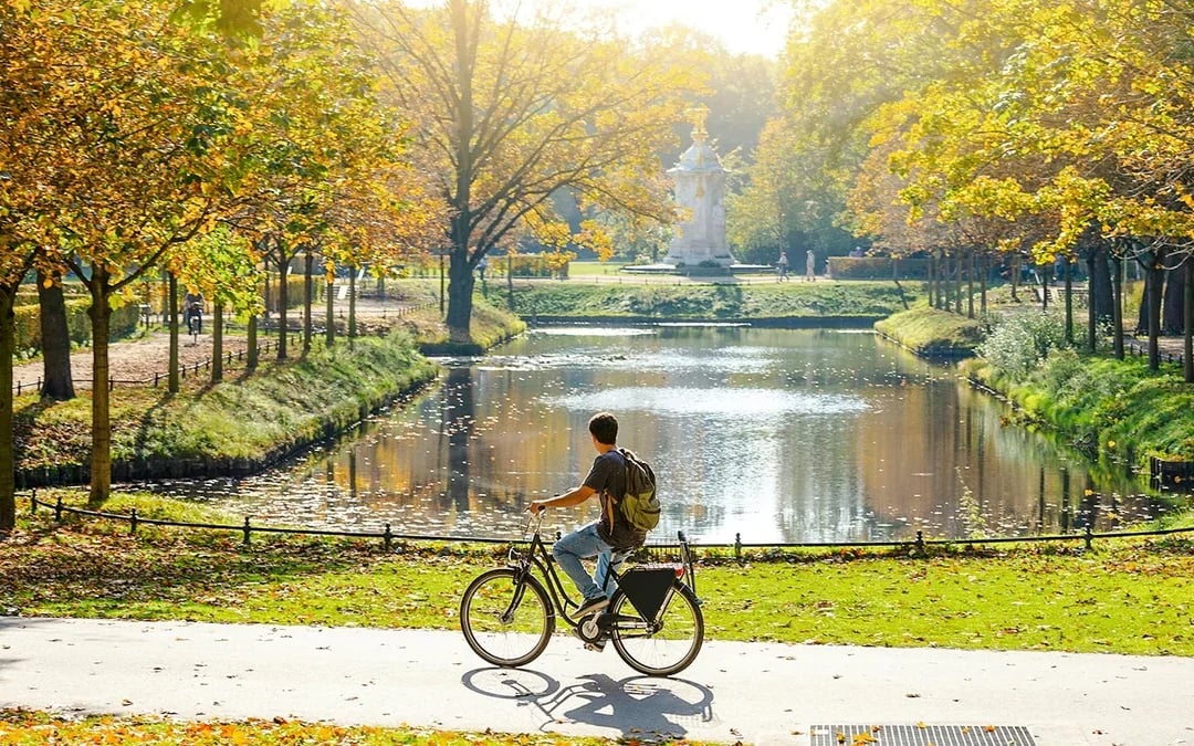 3-Hour Guided Bike Tour of Mitte & Tiergarten Image 3