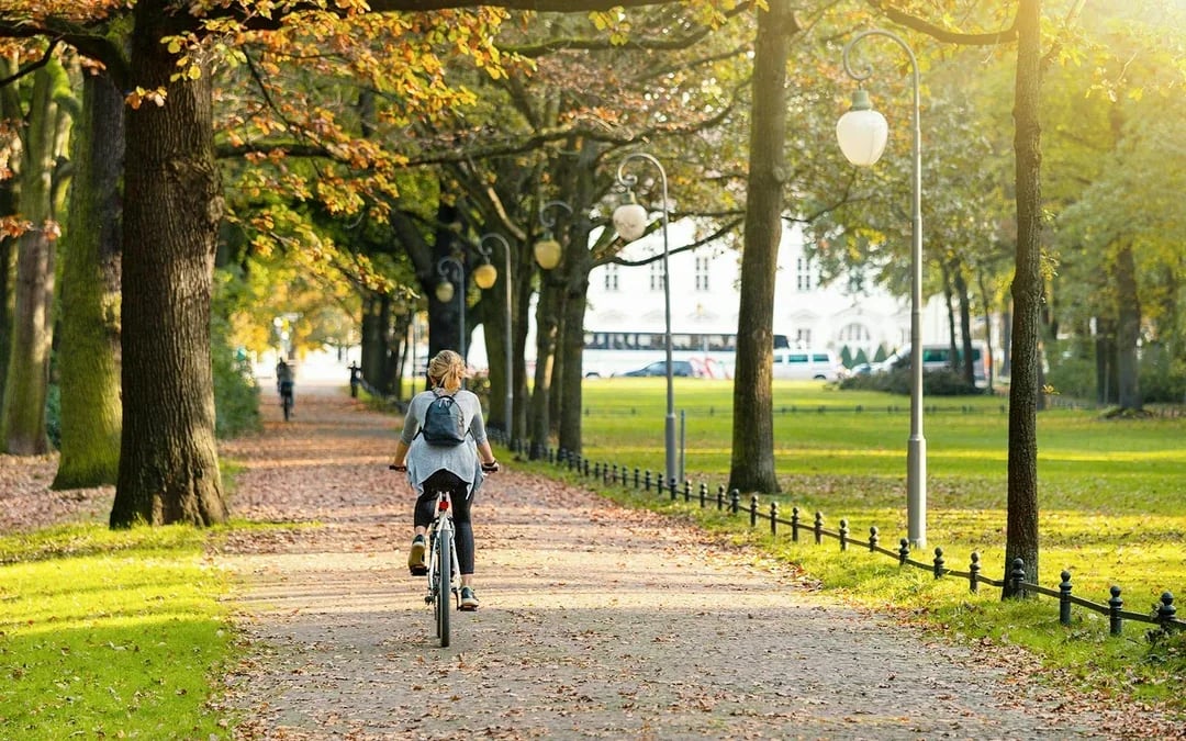 3-Hour Guided Bike Tour of Mitte & Tiergarten Image 5