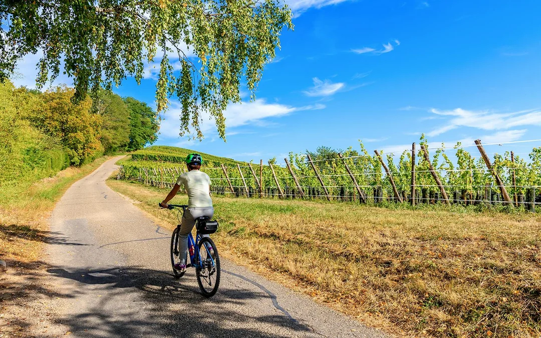 3-Hour Guided E-Bike Tour of Chianti with Wine Tasting Image 2