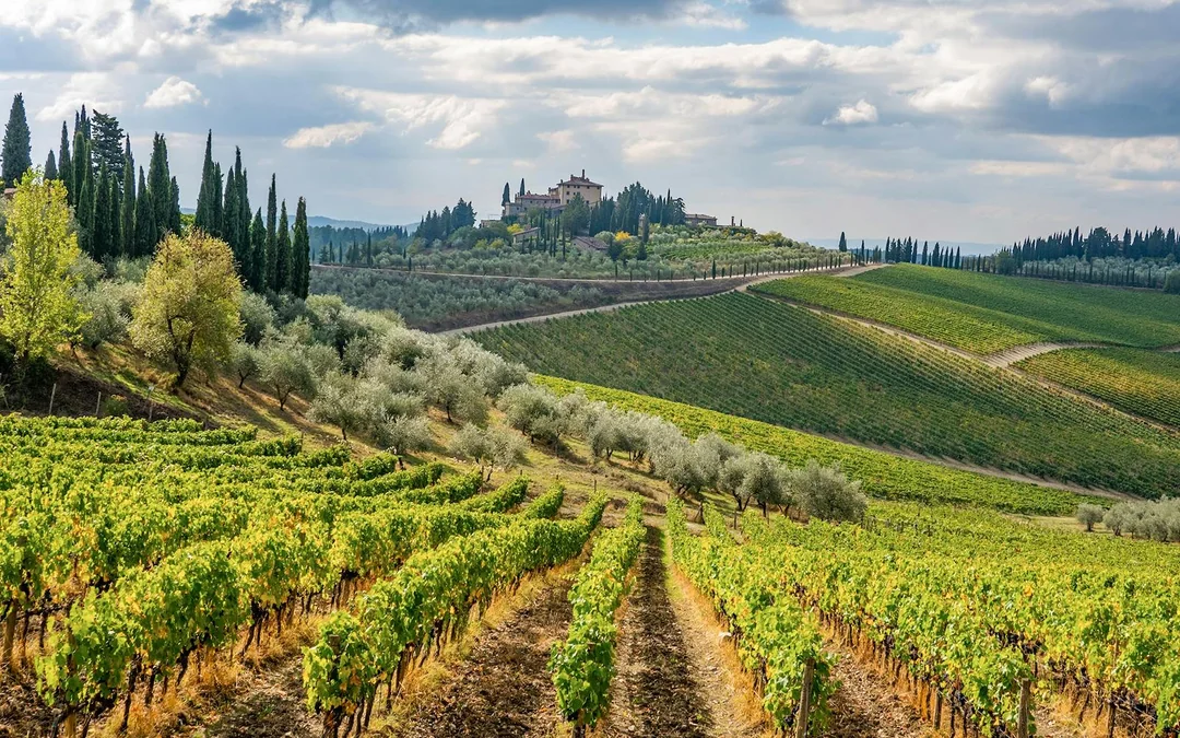 3-Hour Guided E-Bike Tour of Chianti with Wine Tasting Image 3