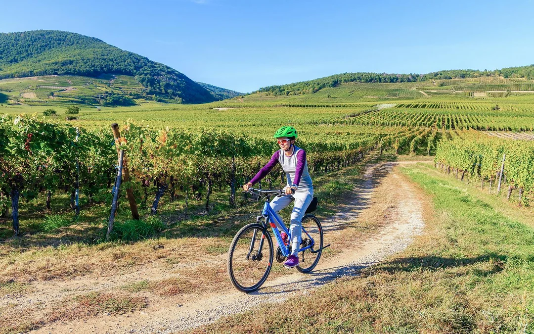 3-Hour Guided E-Bike Tour of Chianti with Wine Tasting Image 4