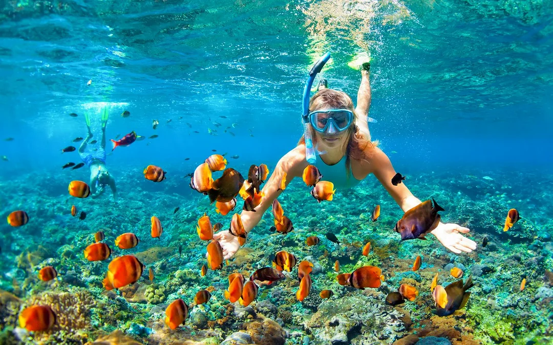 3 Island Tour with Snorkelling, Lunch & Transfers Image 3