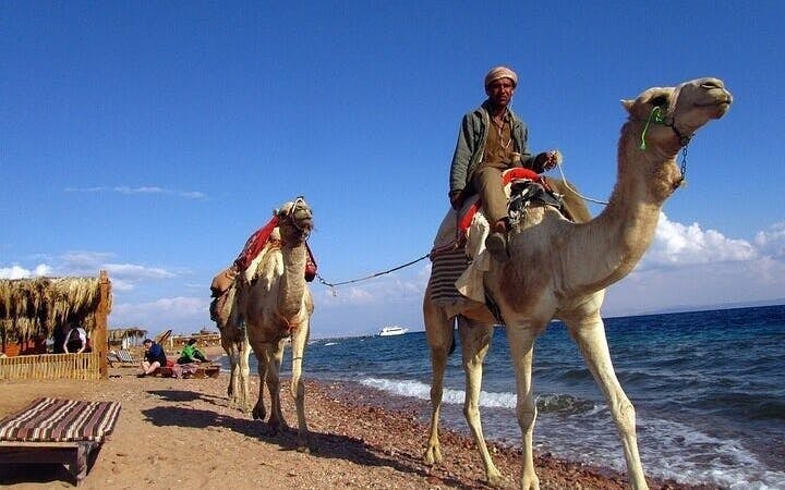 3 Pools National Park and ATV Quad in Dahab, Camel Ride by Bus-Sharm El Sheikh Image 1