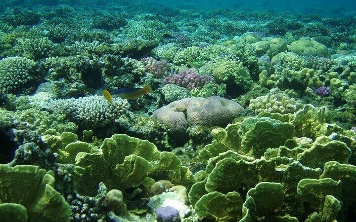 3 Pools National Park and ATV Quad in Dahab, Camel Ride by Bus-Sharm El Sheikh Image 3