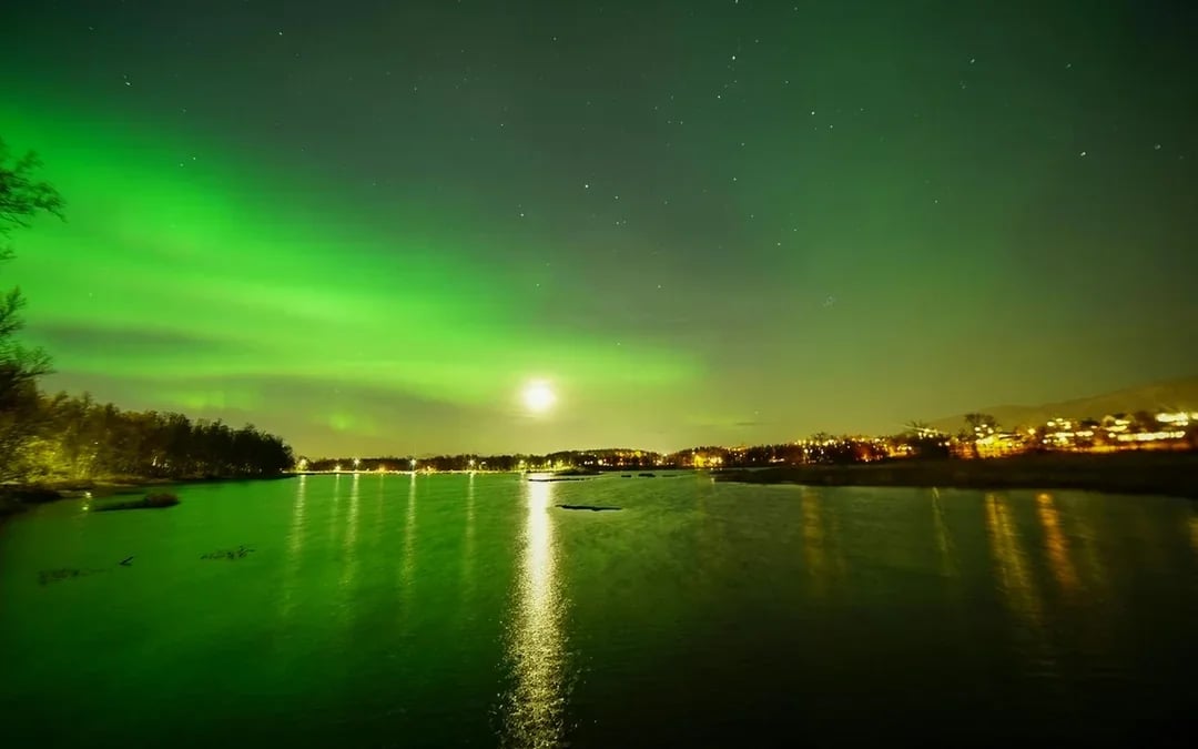3 to 4-Hour Aurora Borealis Lights Chase Small-Group Tour by VIP Minivan Image 6