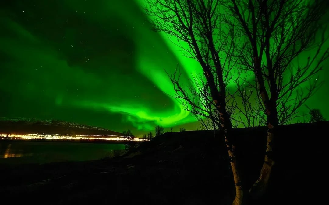 3 to 4-Hour Aurora Borealis Lights Chase Small-Group Tour by VIP Minivan Image 8
