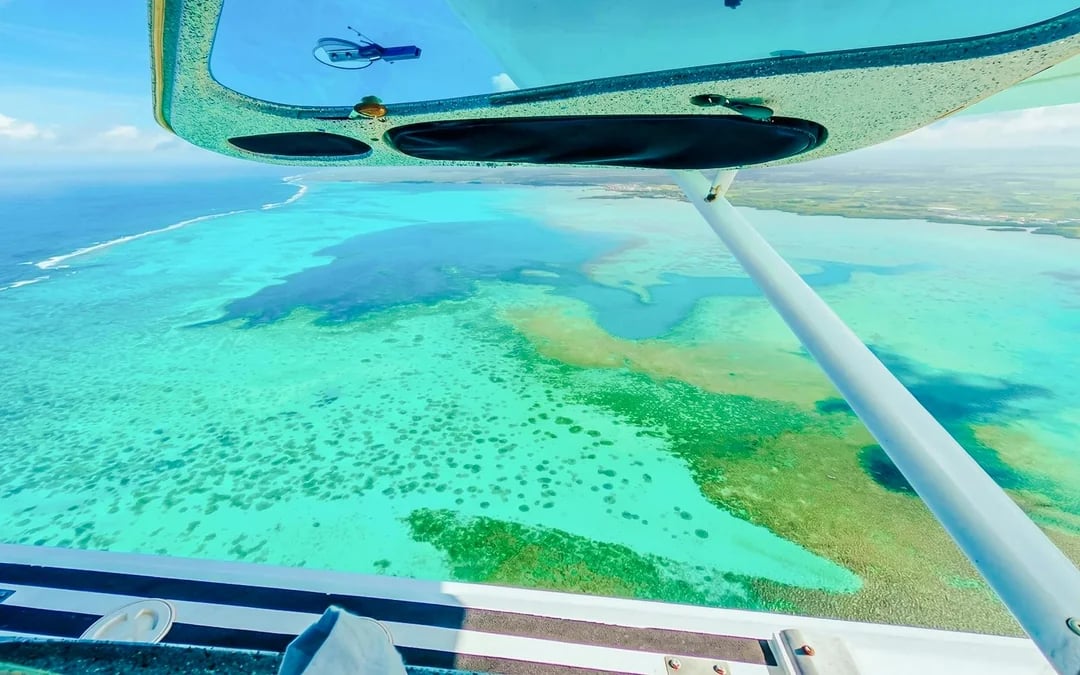 30-Minute Private Scenic Seaplane Tour Image 9