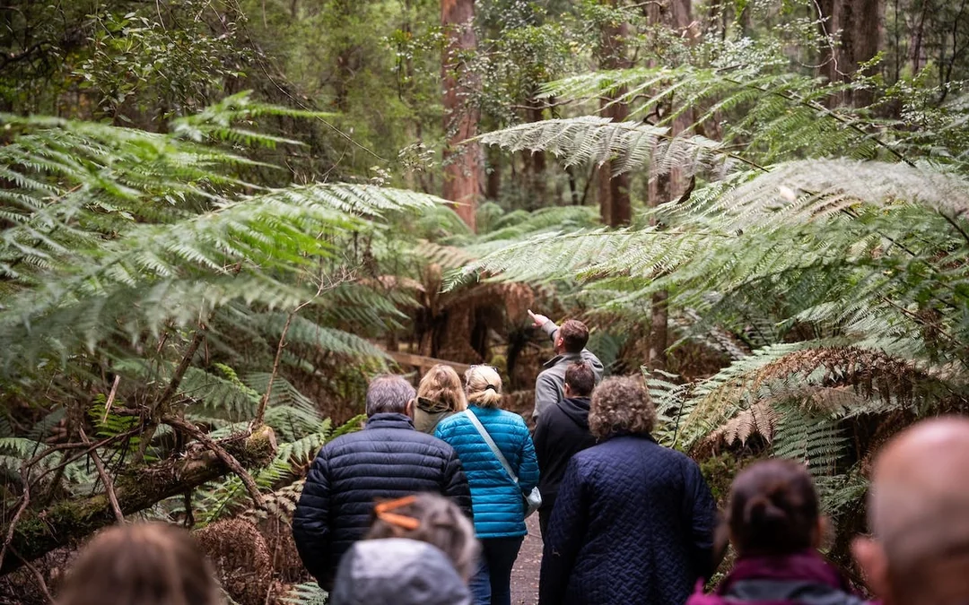 4 Day Tasmanian Highlights Bundle - Hobart, Port Arthur, Bru Image 3