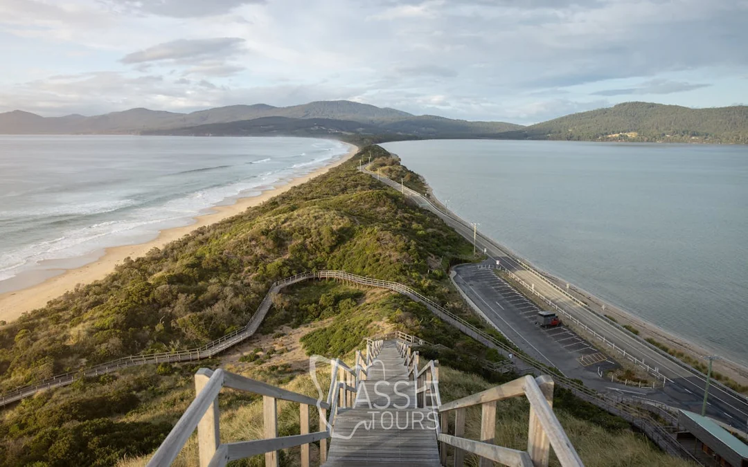 4 Day Tasmanian Highlights Bundle - Hobart, Port Arthur, Bru Image 4
