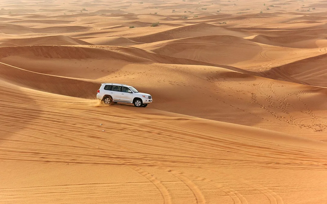 4-Hour Ultimate Evening Adventure Safari Package with Optional Quad Biking Image 7