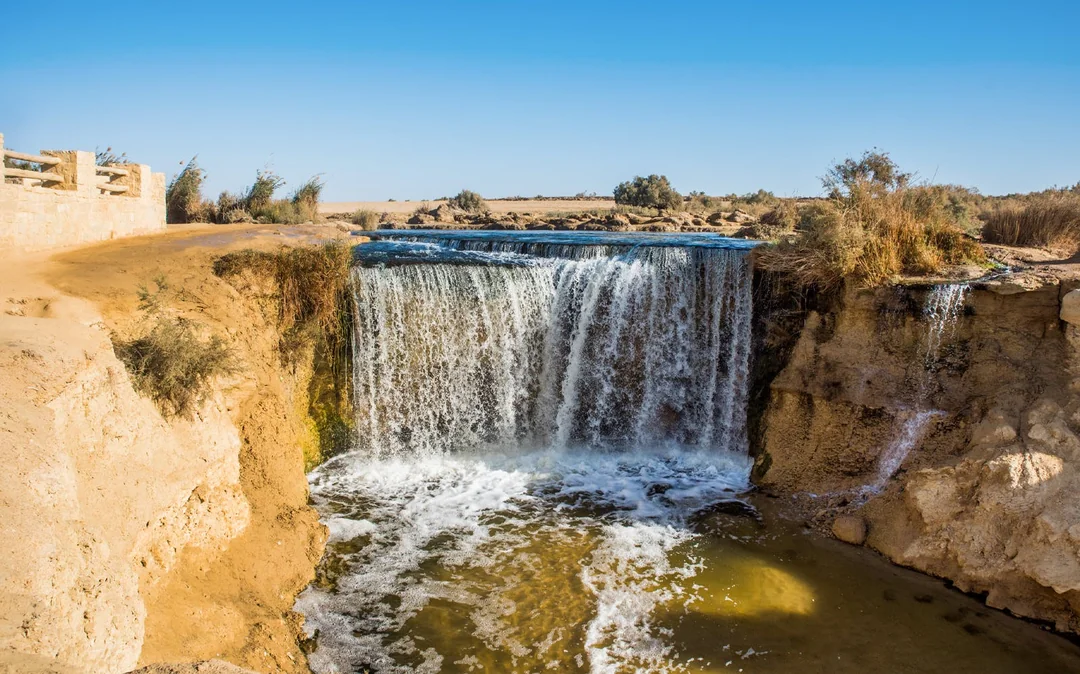 4x4 Desert Safari with Sandboarding & Camel Ride Tour from Cairo Image 2
