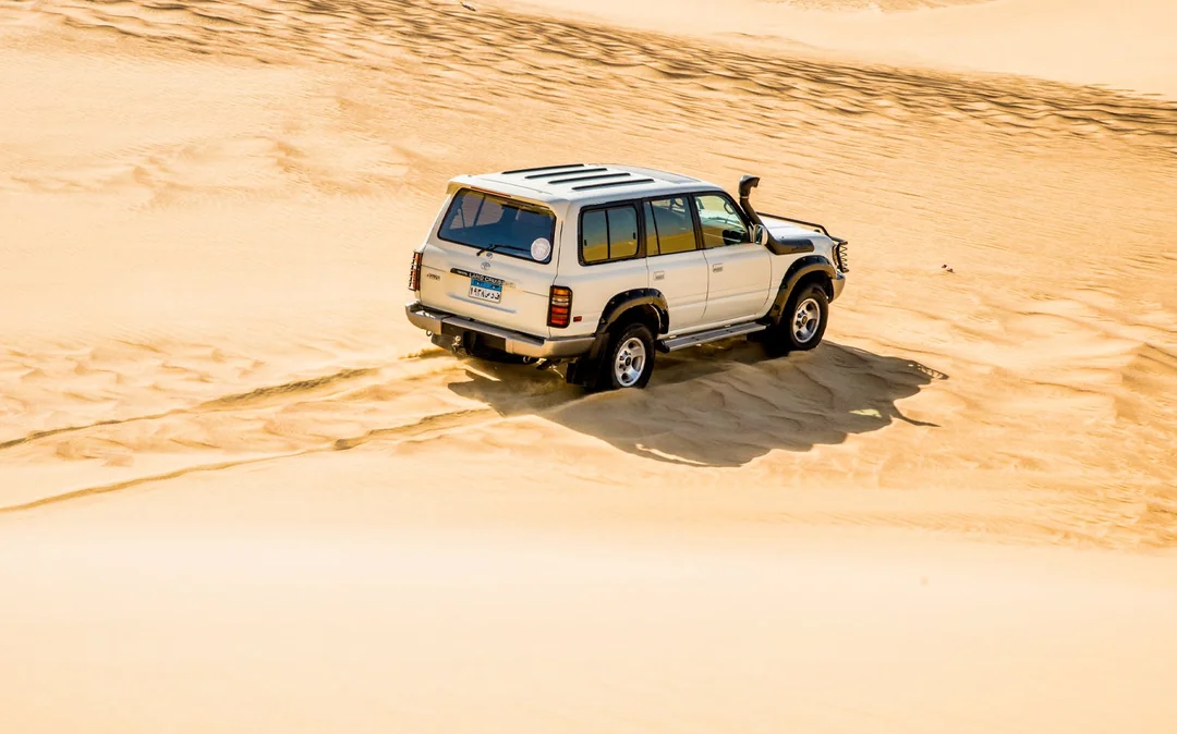4x4 Desert Safari with Sandboarding & Camel Ride Tour from Cairo Image 3