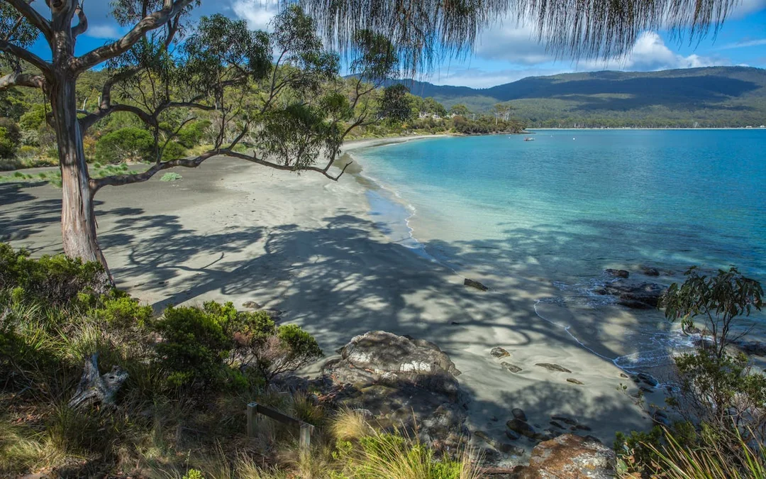 5 Day Island Icons Day Tour Bundle - Cradle Mountain, Winegl Image 2