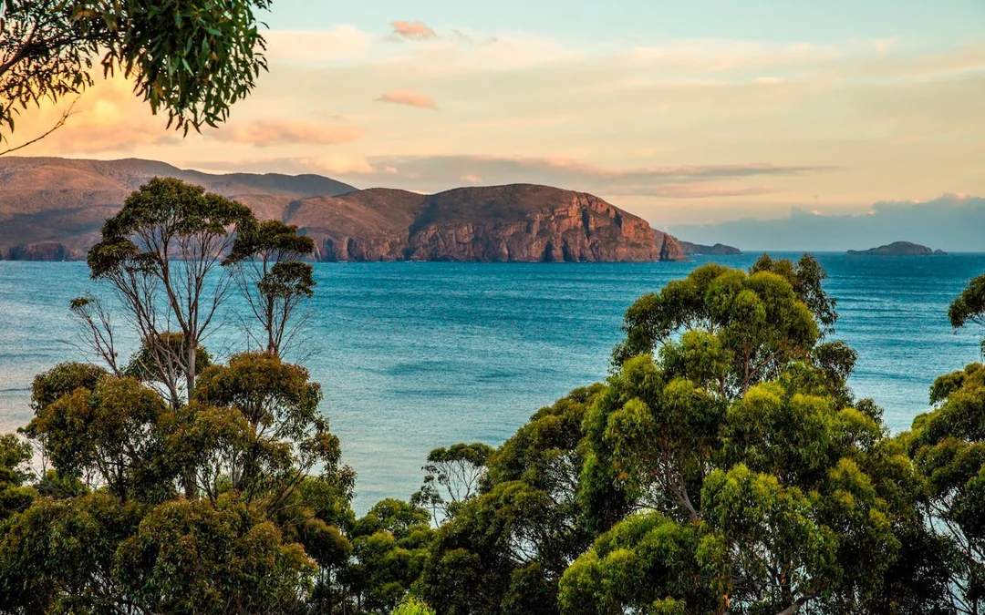 5 Day Island Icons Day Tour Bundle - Cradle Mountain, Winegl Image 5