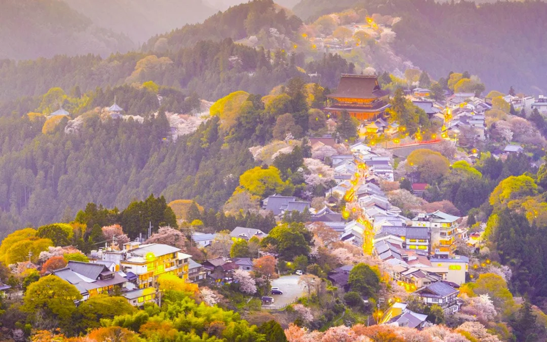5 Day JR Kansai Wide Area Pass Image 2