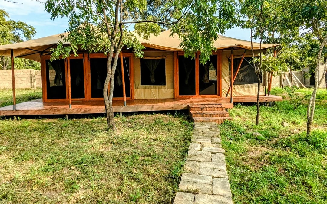 5-Day Tarangire, Serengeti & Ngorongoro Crater Safari from Arusha Image 8