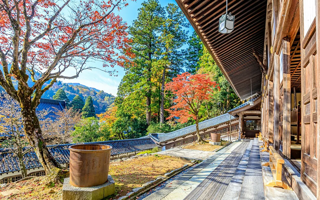 7 Days Kansai-Hokuriku Area Pass Image 9