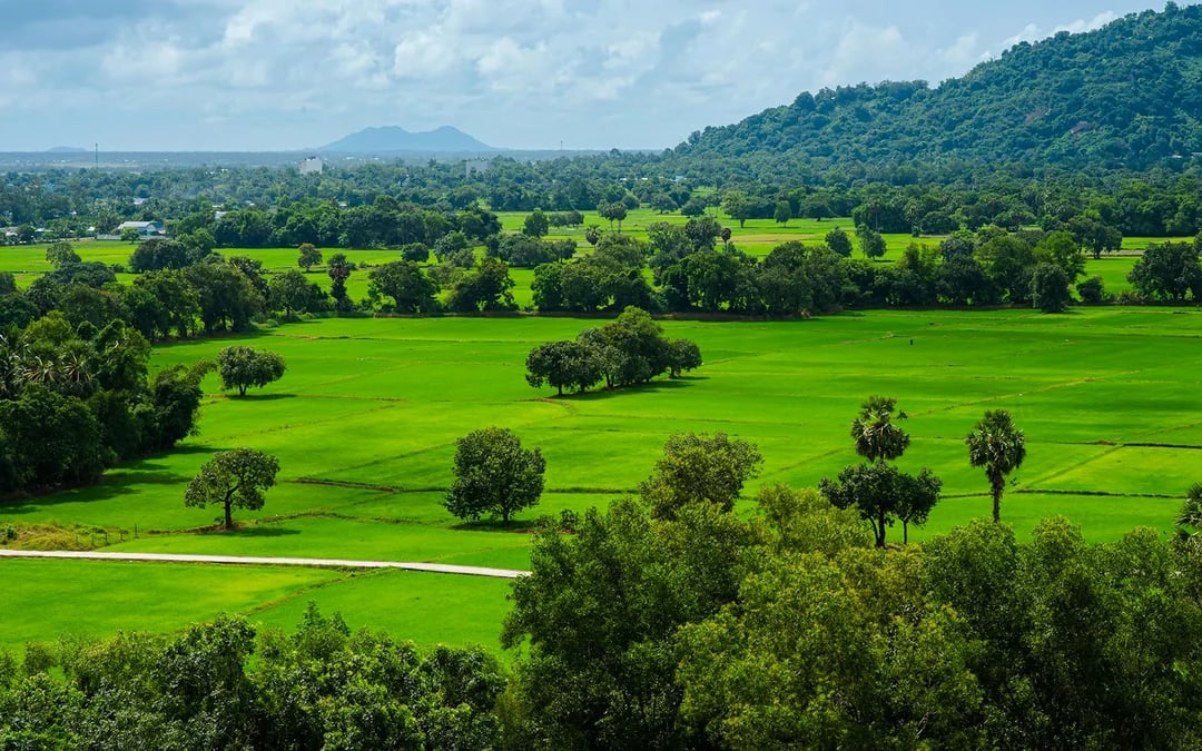 8-Day Mekong Delta and Angkor Wat Guided Tour with Internal Flights Image 2