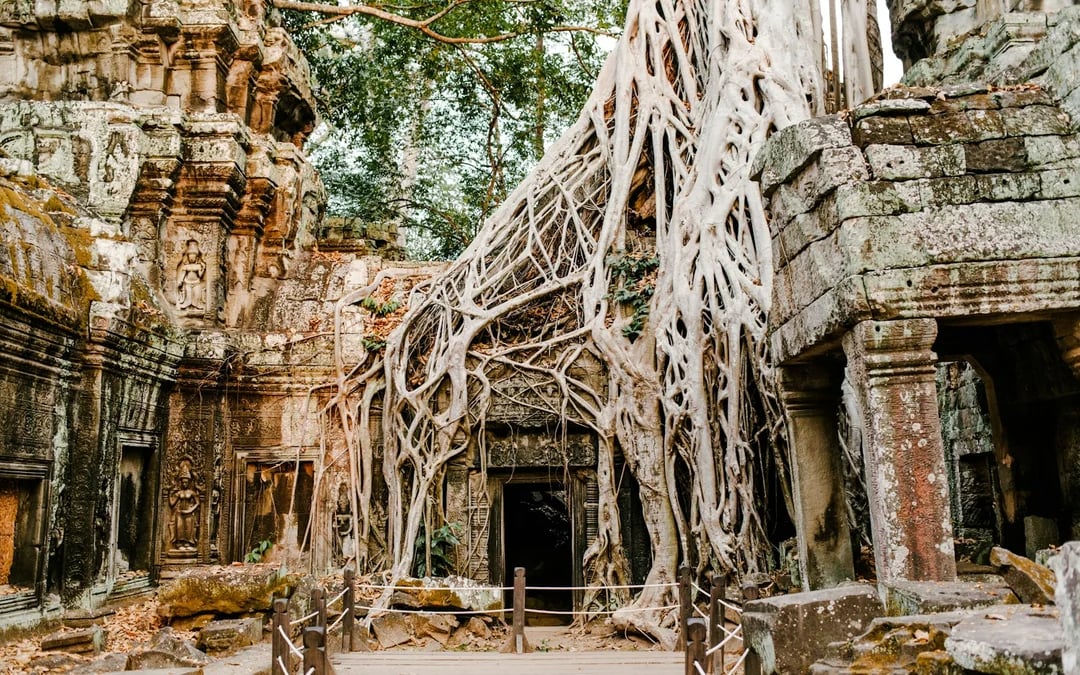 8-Day Mekong Delta and Angkor Wat Guided Tour with Internal Flights Image 10