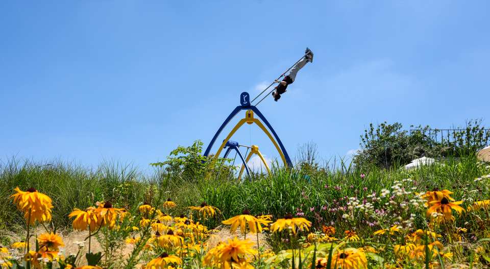 9.81 Park Jeju Ticket | Jeju Island, South Korea