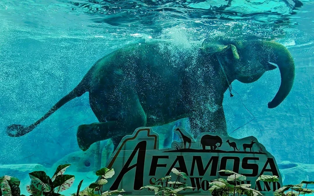 A'Famosa Water Theme Park Tickets Image 7