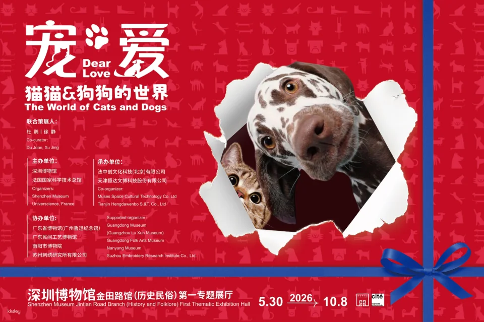A joint presentation by the French National Museum of Science and Technology and the Shenzhen Museum: "Pets and Love—The World of Cats and Dogs"—an immersive and interactive science education experience.