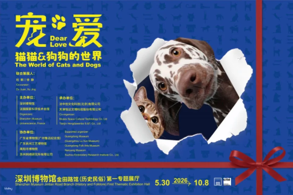 A joint presentation by the French National Museum of Science and Technology and the Shenzhen Museum: "Pets and Love—The World of Cats and Dogs"—an immersive and interactive science education experience.