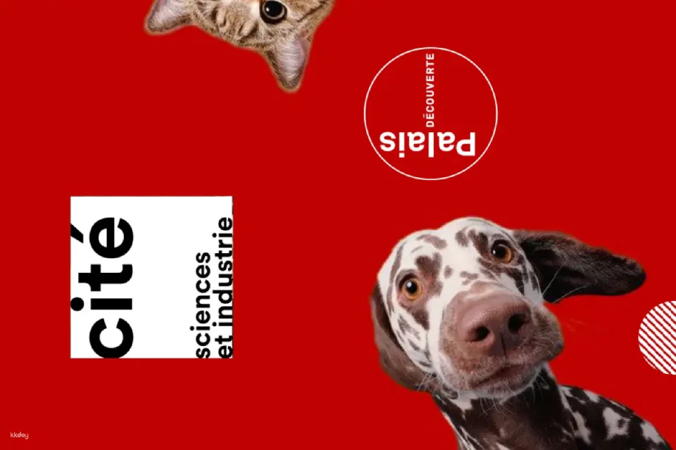 A joint presentation by the French National Museum of Science and Technology and the Shenzhen Museum: "Pets and Love—The World of Cats and Dogs"—an immersive and interactive science education experience.