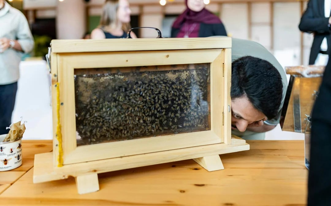 A Taste of the Hive Image 3