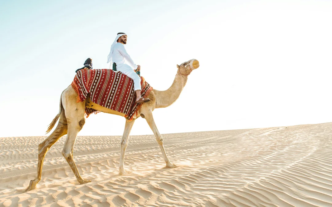 Abu Dhabi Camel Trekking Safari with Arabic Coffee & Dates Image 1