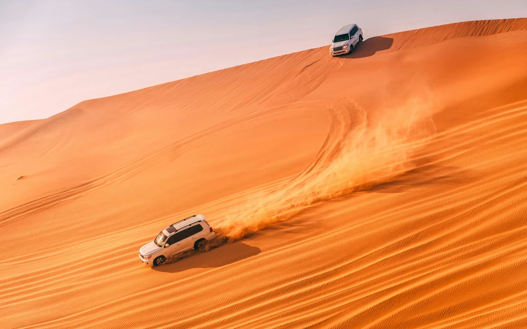 Abu Dhabi Camel Trekking Safari with Arabic Coffee & Dates Image 3