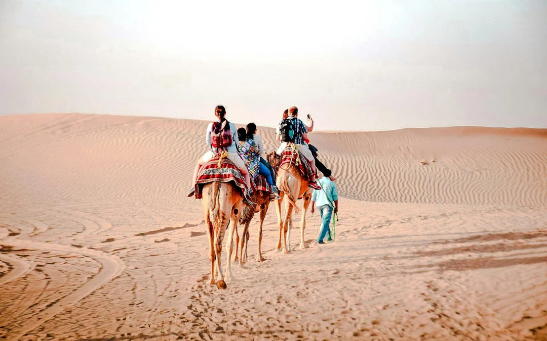 Abu Dhabi Camel Trekking Safari with Arabic Coffee & Dates Image 4