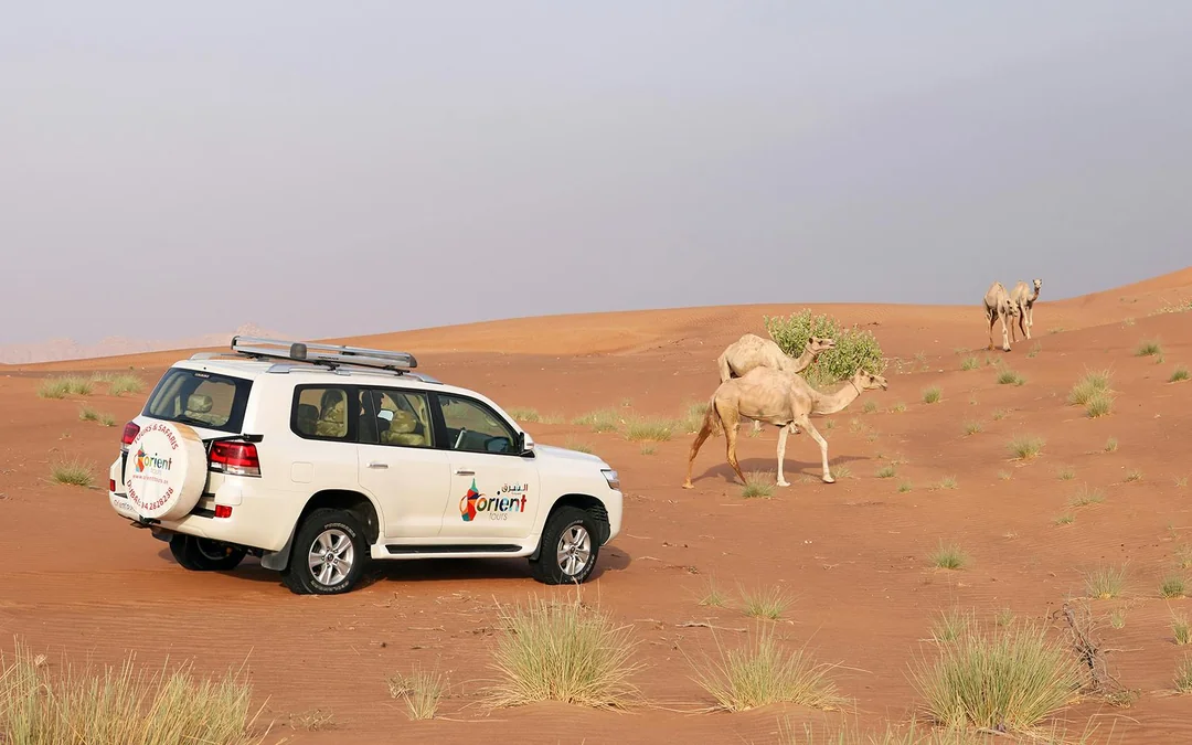 Abu Dhabi Sunrise Desert Safari with 4x4 Dune Bashing & Sandboarding Image 1