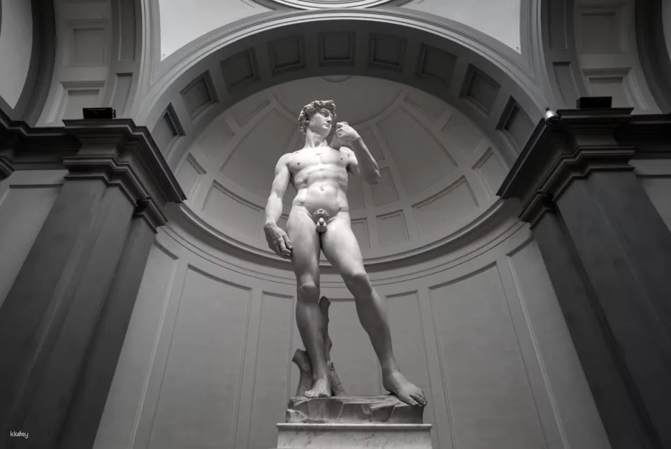 Accademia Gallery: Priority Entrance | Italy