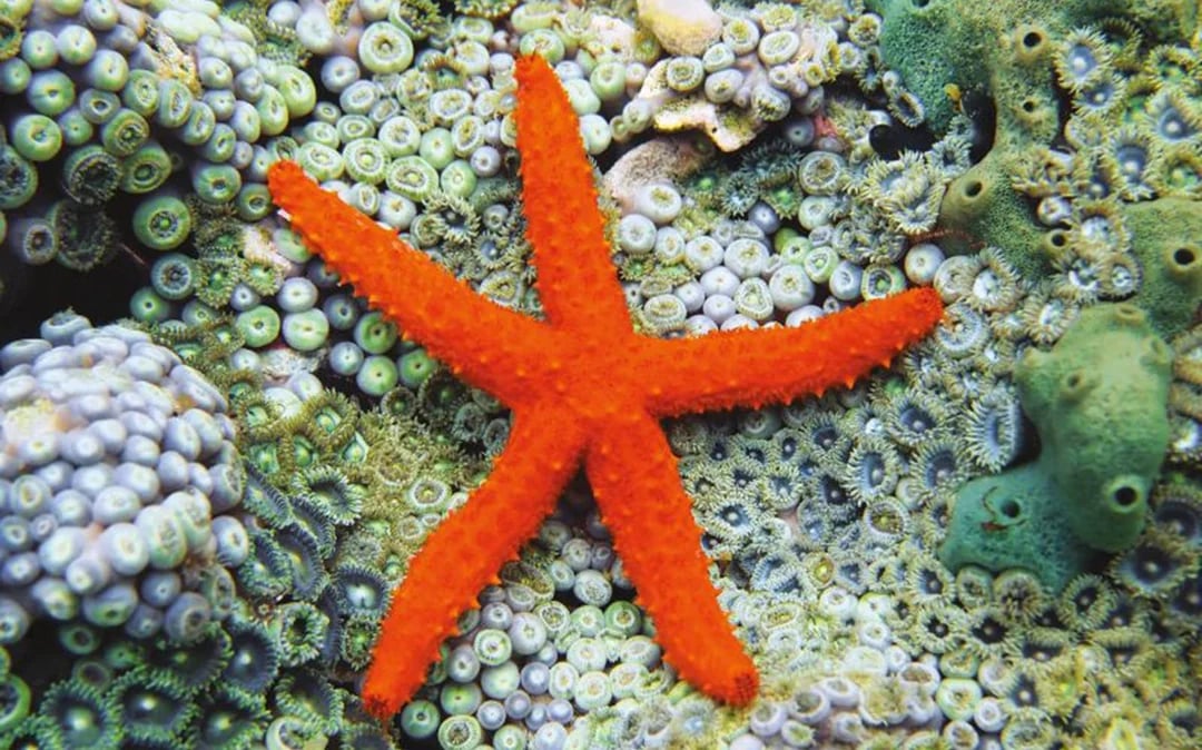 Acquario di Cattolica: Admission Tickets Image 9
