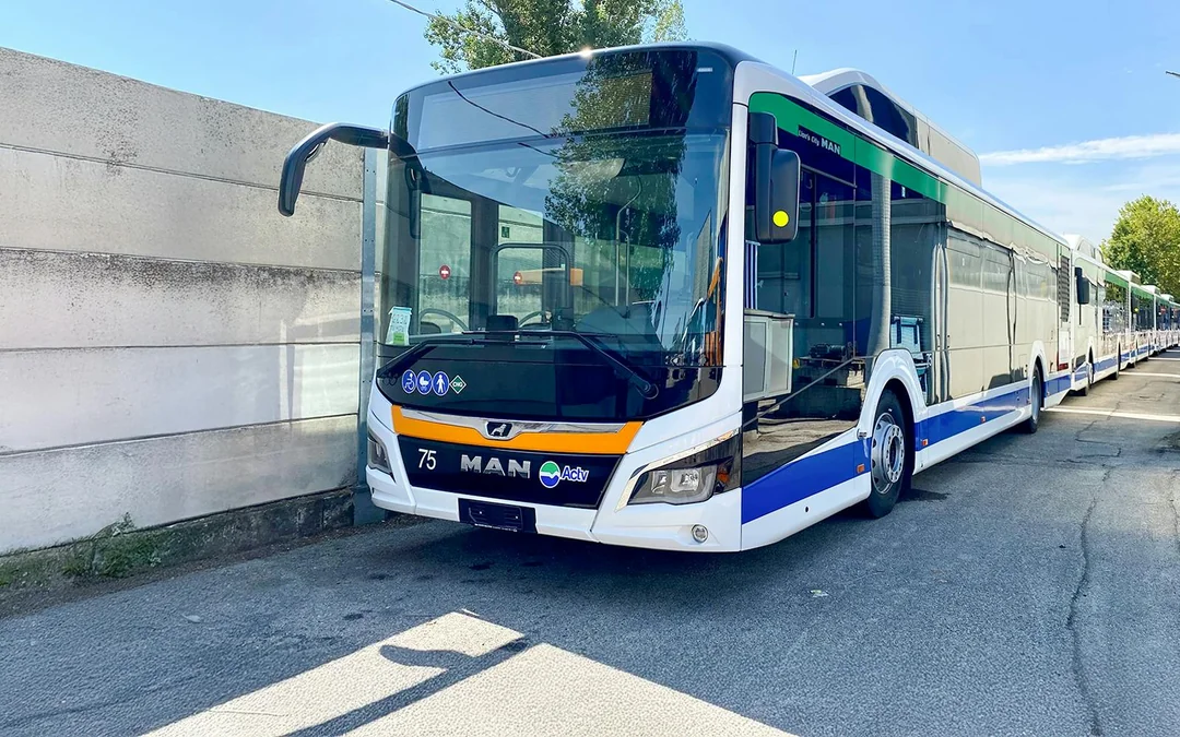 ACTV Aerobus Bus Transfer: Venice Marco Polo Airport to/from Venice Piazzale Roma Image 5