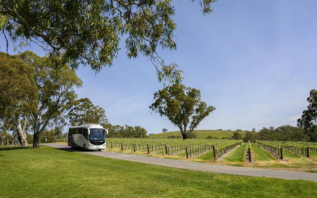 Adelaide Hills & Hahndorf Village Guided Tour with Round-Trip Transfers Image 2