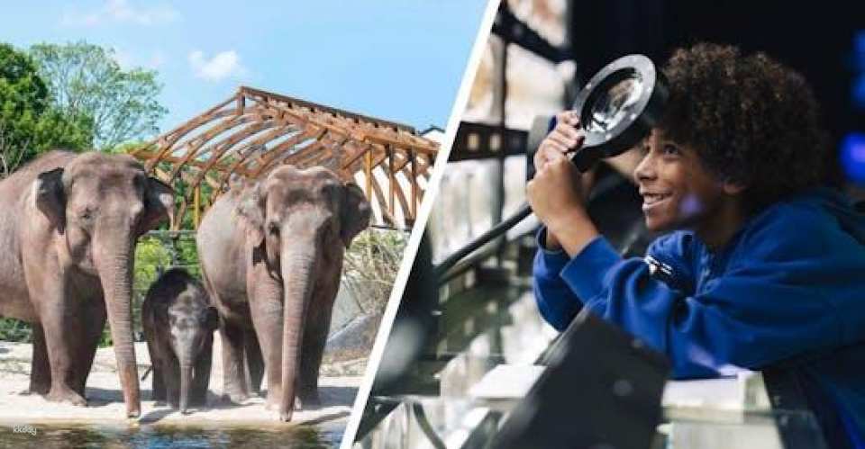 Admission ticket for Artis Royal Zoo and Micropia