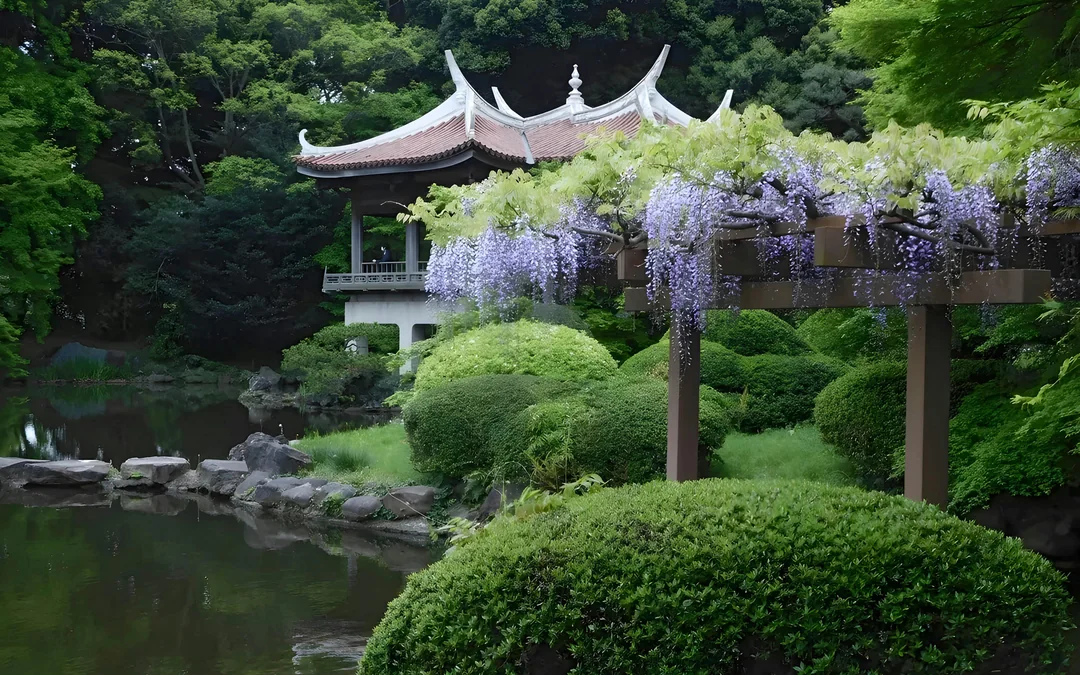 Admission Tickets to Shinjuku Gyoen National Garden Image 4