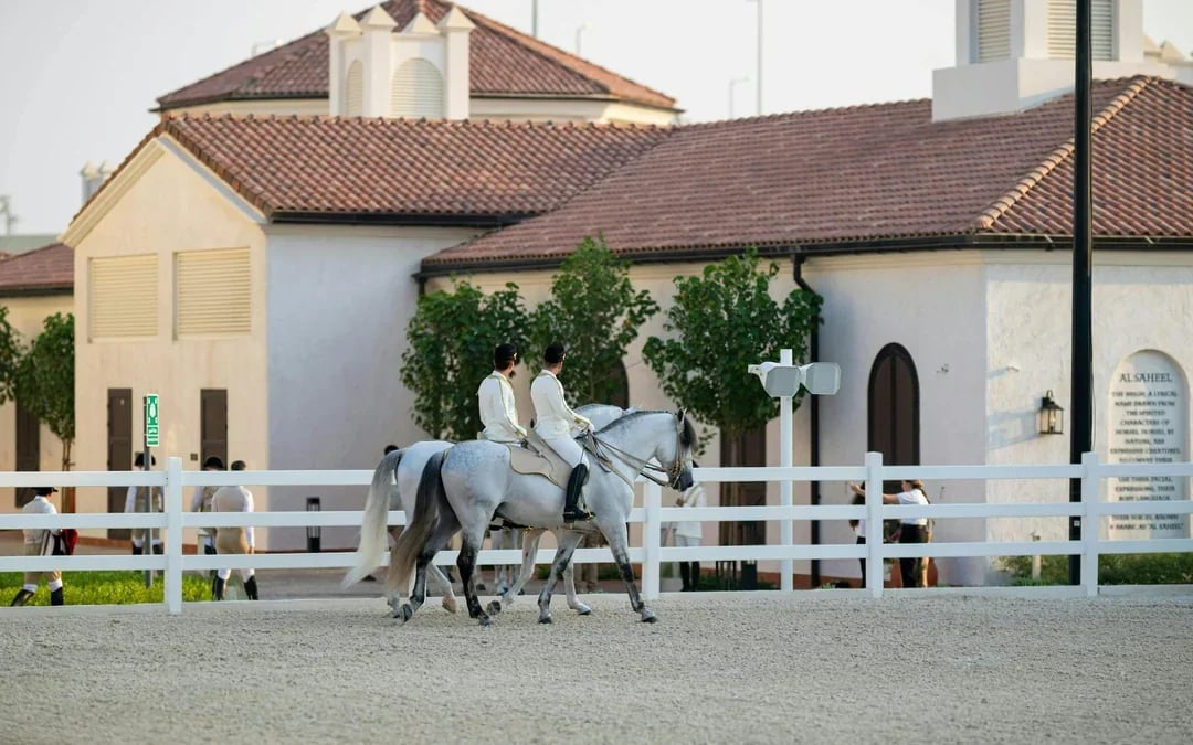 ADREA: Abu Dhabi Royal Equestrian Arts Guided Tour Image 1