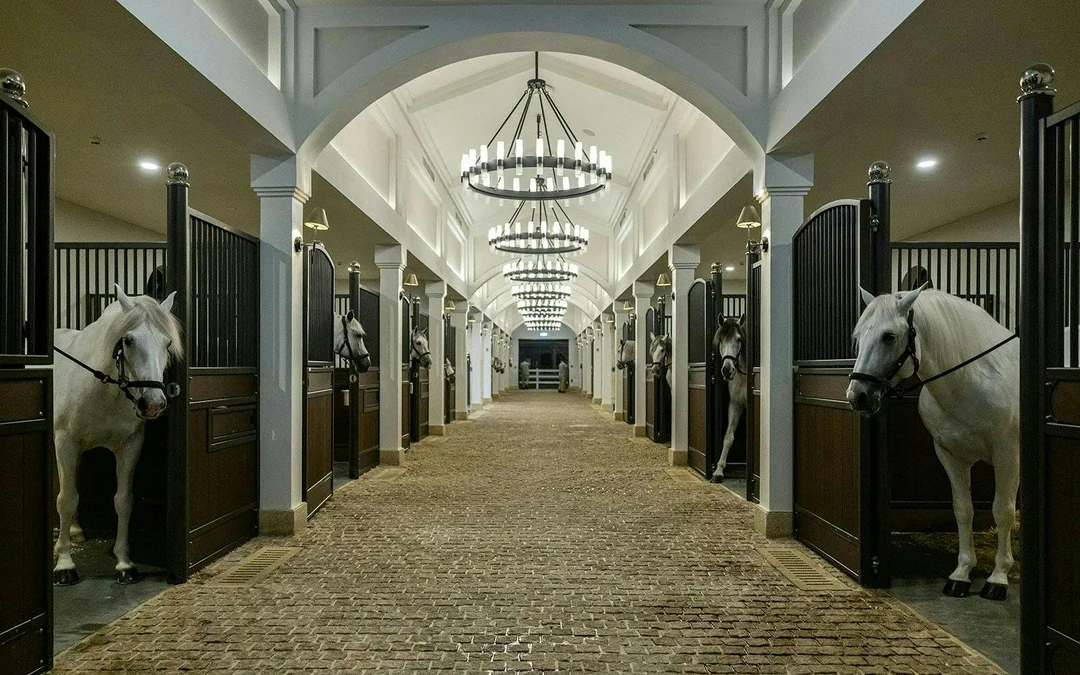 ADREA: Abu Dhabi Royal Equestrian Arts Guided Tour Image 12