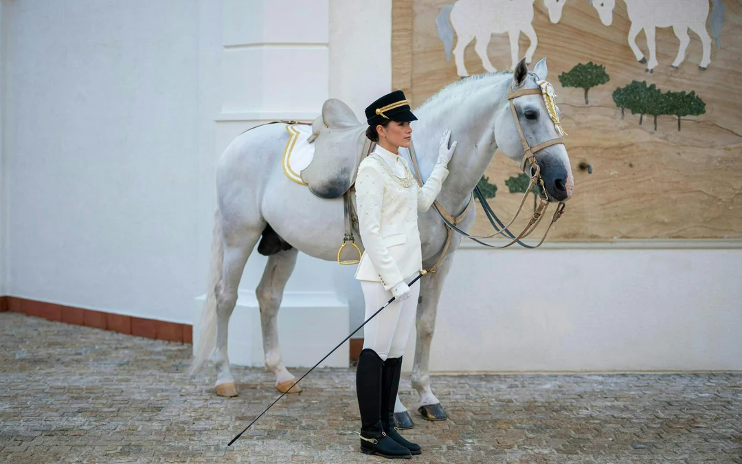 ADREA: Abu Dhabi Royal Equestrian Arts Guided Tour Image 3