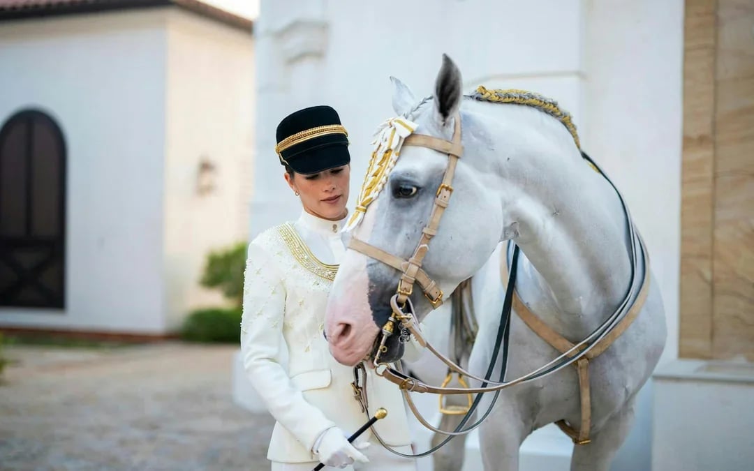 ADREA: Abu Dhabi Royal Equestrian Arts Guided Tour Image 7