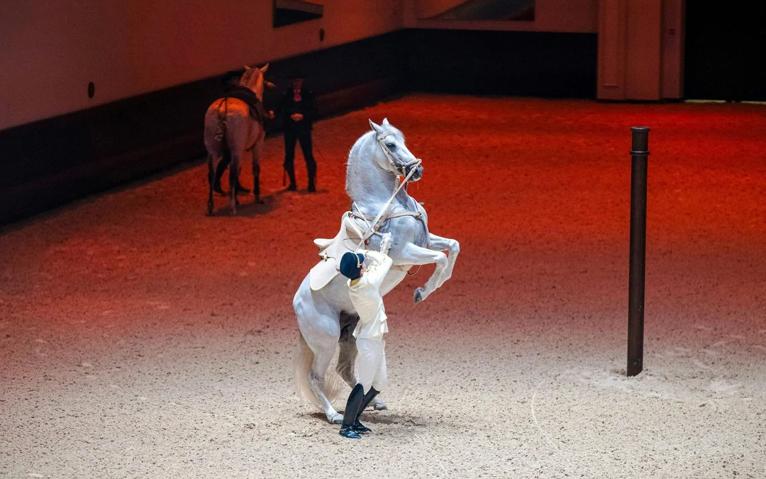 ADREA: Abu Dhabi Royal Equestrian Arts Show Tickets Image 2