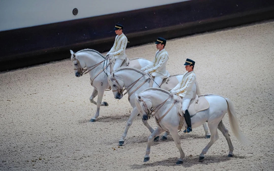 ADREA: Abu Dhabi Royal Equestrian Arts Show Tickets Image 3