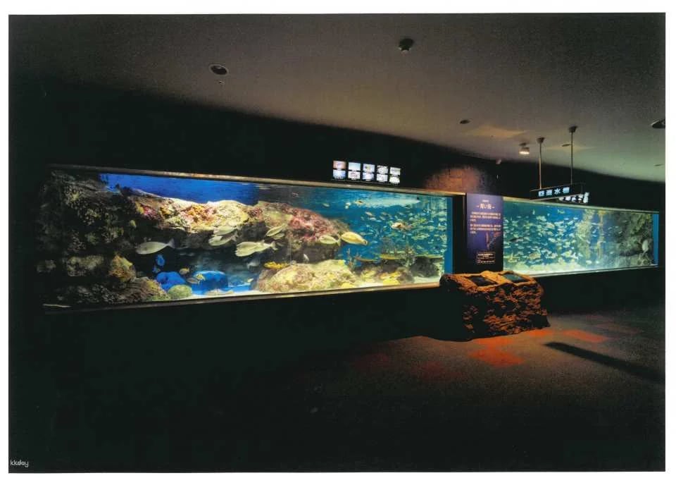 [Advance Tickets] Shin Sapporo Sunpiazza Aquarium Advance Ticket Reservations (Sapporo, Hokkaido)