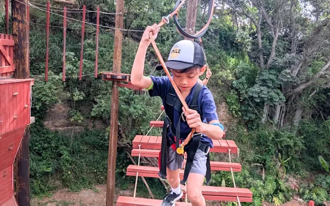 Adventure Course Access with 18 High-Elevation Elements and Safety Gear Provided Image 1