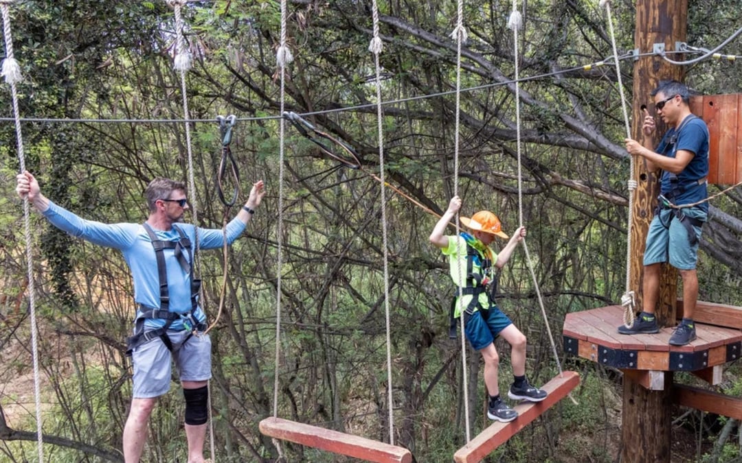 Adventure Course Access with 18 High-Elevation Elements and Safety Gear Provided Image 5